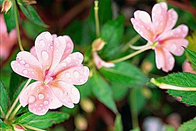 NITRO PLUS推出全新2.5D横版动作游戏《Rusty Rabbit》| 由著名动画编剧虚渊玄